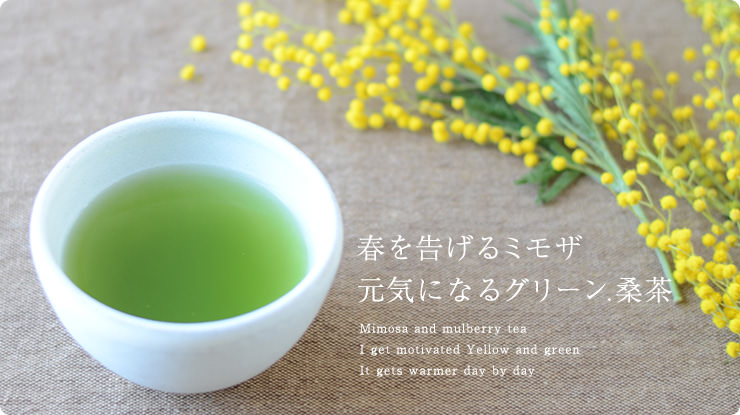 春を告げるミモザ。元気になるグリーン。桑茶。