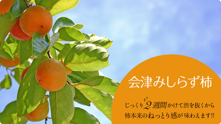 会津みしらず柿　じっくり2週間かけて渋を抜くから、柿本来のねっとり感を味わえます。"